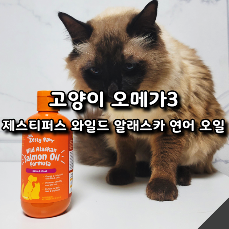  냥집사 추천템 고양이 오메가3 제스티퍼스(Zesty Paws) 연어 오일 후기