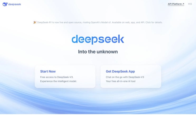  딥시크(DeepSeek) 사용하는 방법