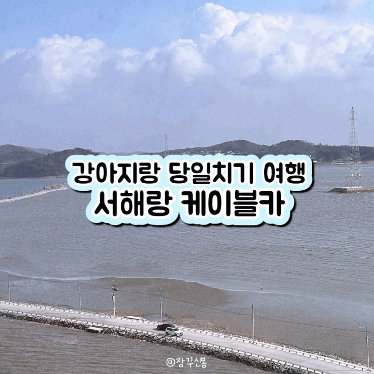 서울 근교 강아지랑 당일치기 여행 서해랑 제부도해상케이블카 주차, 할인, 가격 정보 서울 근교 강아지랑 당일치기 여행 서해랑 제부도해상케이블카 주차, 할인, 가격 정보