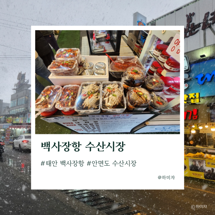  태안 백사장항 수산시장 주차 먹거리 알려드려요