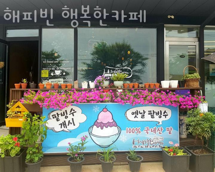 해피빈 사진 5