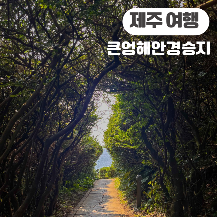  제주 가볼만한 곳 남원 큰엉해안경승지 주차장 주소 포토존 가는 법 서귀다원