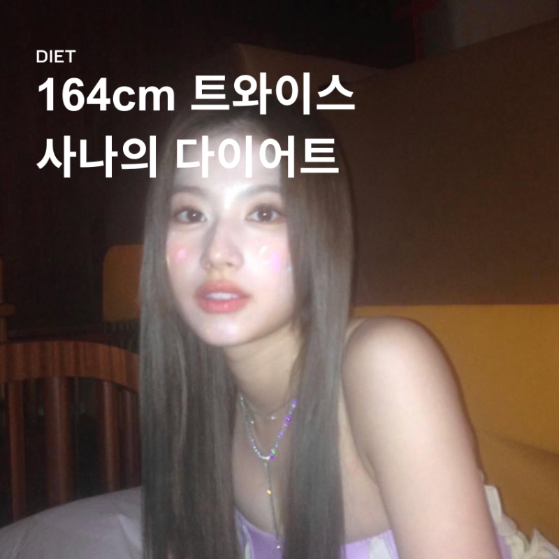 164cm 극슬렌더 트와이스 사나 다이어트