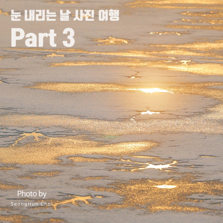 설날 모음.zip 눈 내리는 날 사진 여행 Part 3: 율동공원에서의 멋진 하늘과 또다른 동물들과의 만남