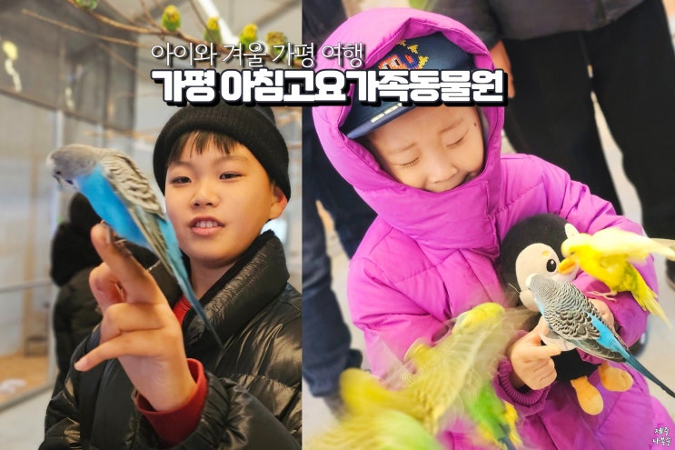  경기도 가평 아이와 가볼만한곳 아침고요동물원 볼거리