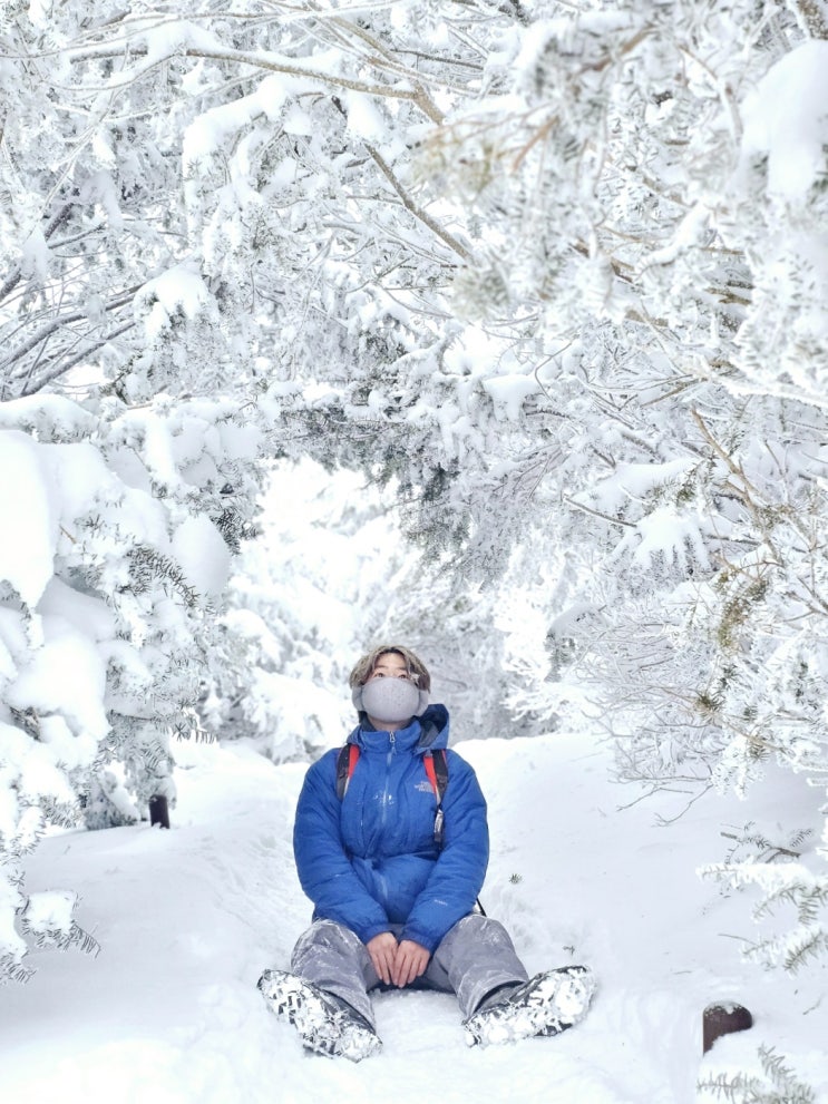  지리산 바래봉 일출 눈꽃산행 최단 등산코스(허브밸리주차장~정상~원점회귀)