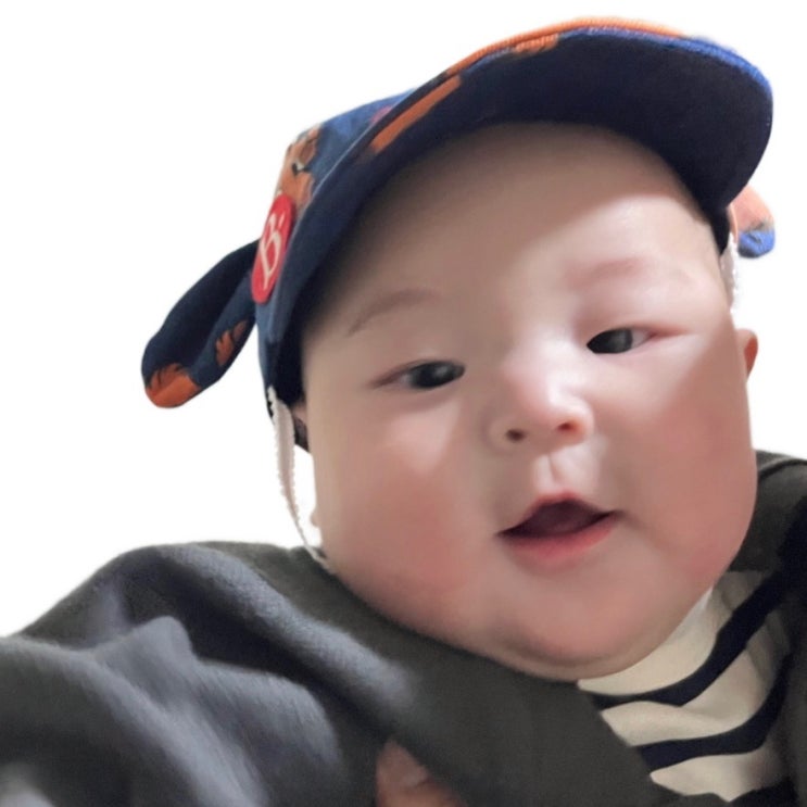  이유식 시작 전 숙지사항, 삐뽀삐뽀 119 이유식으로 준비하기
