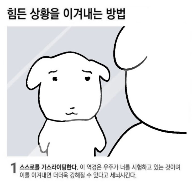 나안아 듀 가나디 유행 블로그 짤 프사 사진 모음 : 네이버 블로그