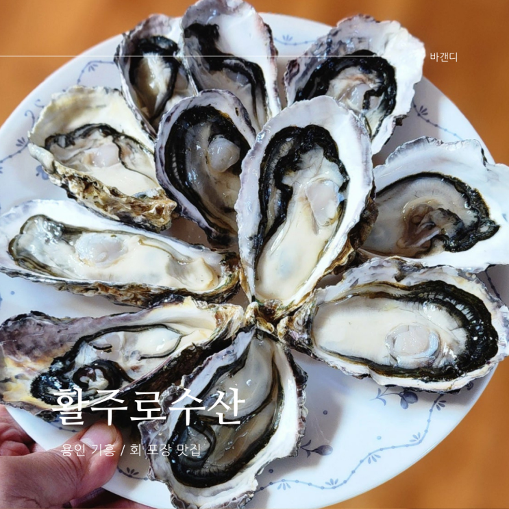  용인 활주로수산 저렴한 광어 석화 포장 구매 후기