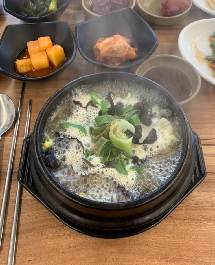  제주도 맛집 제주해장국 맛집 색다른매력 오현해장국 방문 후기