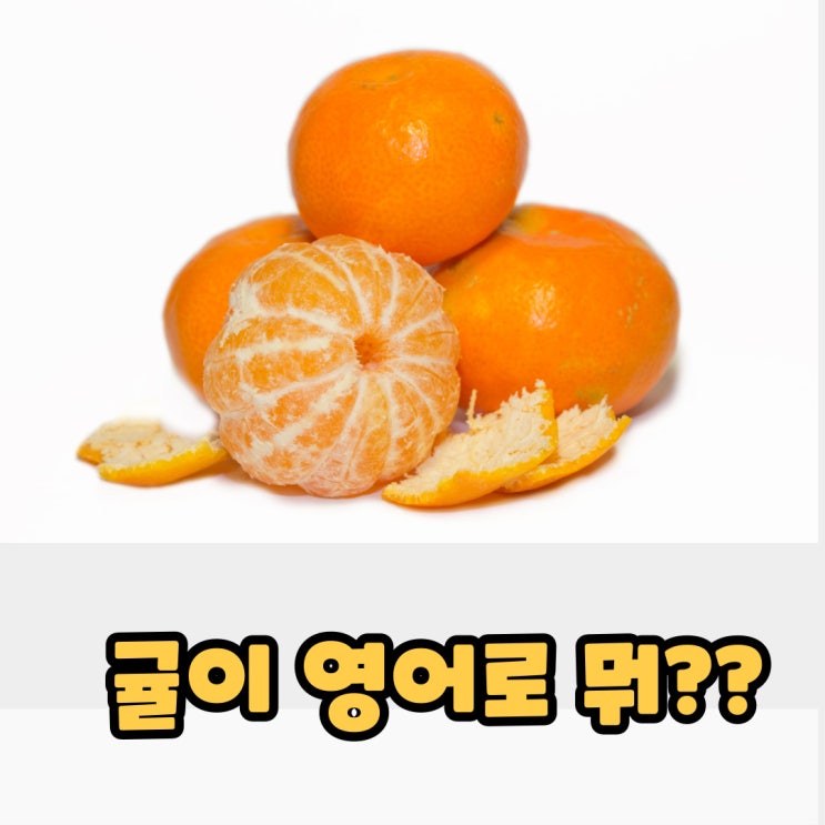  귤 영어로 알고 계신가요? 놀라운 과일 이름의 비밀을 파헤쳐봤어요!