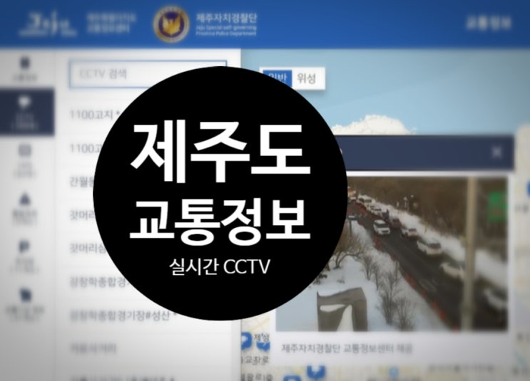  제주도 1100고지 CCTV로 교통정보 실시간 확인하기(+교통체증 피하는 꿀팁)