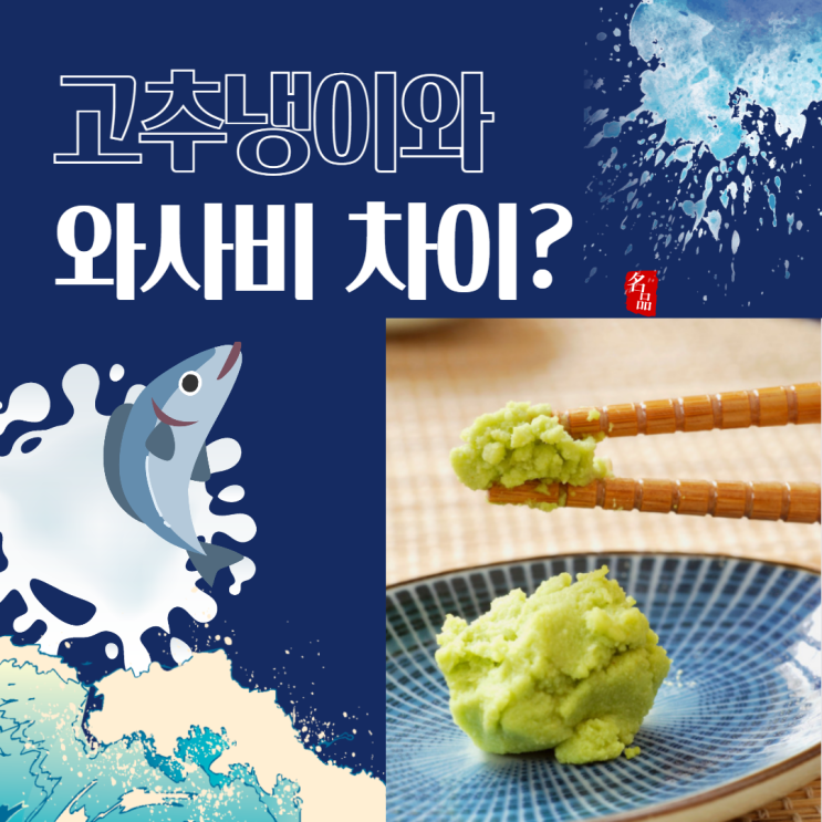  고추냉이 와사비 차이 효능 부작용 알아보자