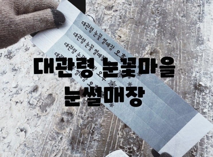  강원도 눈썰매장 아이들이랑 가볼만한 곳 대관령눈썰매 썰매장 꿀팁 : 대관령 눈꽃마을눈썰매장