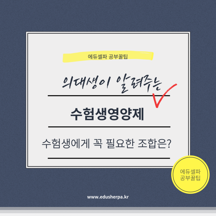 수험생 영양제 추천! 집중력과 기억력 향상을 위한 필수 영양제는?