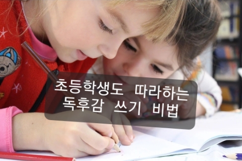  초등학생도 쉽게 따라 하는 독서 감상문 쓰기 비법!(+독후감 예시)