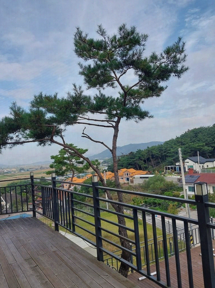  비클래시 키즈풀빌라 불국사점에서의 완벽한 가족 여행