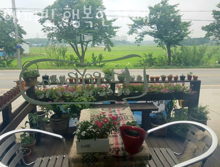 해피빈 사진 1