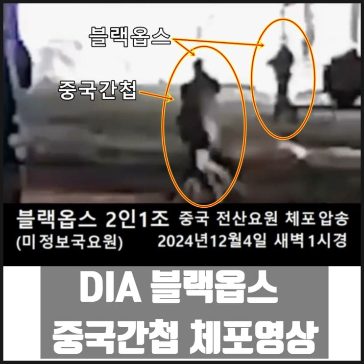 DIA 블랙옵스 요원 2인1조 선관위 중국간첩 체포순간 CCTV영상 2024년 12월 4일 새벽 1시경 DIA 블랙옵스 요원 2인1조 선관위 중국간첩 체포순간 CCTV영상 2024년 12월 4일 새벽 1시경