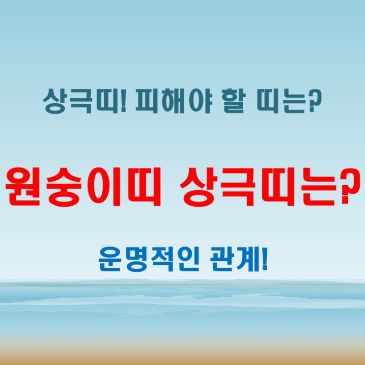  2025년 원숭이띠 년생별 나이와 상극띠 운명적인 관계 알아보기!