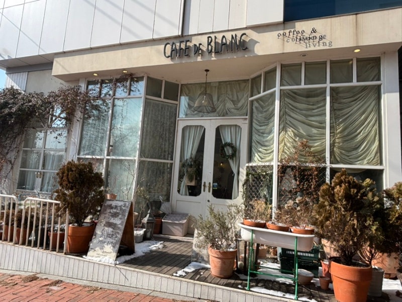 사진 5