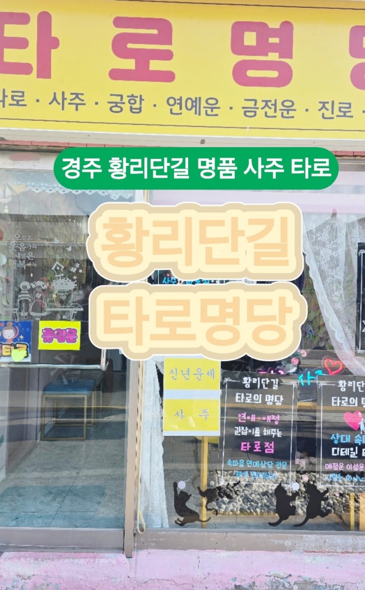  경주 황리단길: 유명한 타로명당에서 사업운과 금전운 – 신기한 경험!
