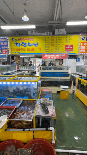 삼길포항 착한수산 가리비 뿔소라 내돈내산 시세