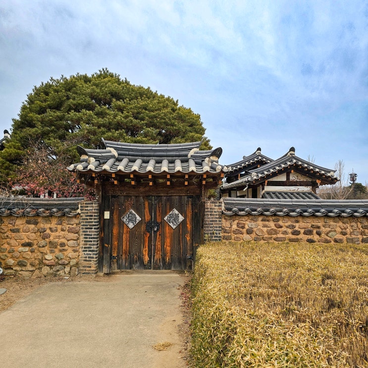  안동 하회마을 : 가볼만한곳 부용대 입장료 셔틀버스