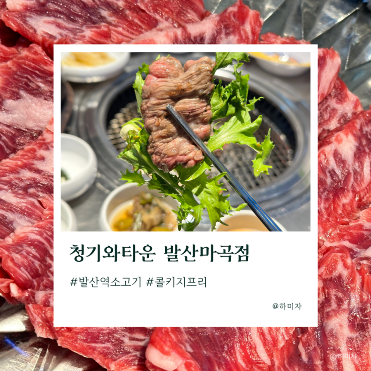  발산역소고기 청기와타운 발산마곡점 메뉴 먹어봤어요