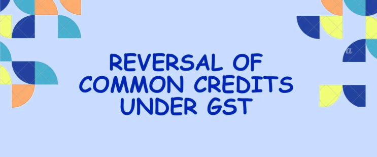 (인디샘 컨설팅) GST에 따른 매입세액공제(ITC)에서 공통 크레딧(Common Credit)의 Reverse/Reversing/Reversal (인디샘 컨설팅) GST에 따른 매입세액공제(ITC)에서 공통 크레딧(Common Credit)의 Reverse/Reversing/Reversal