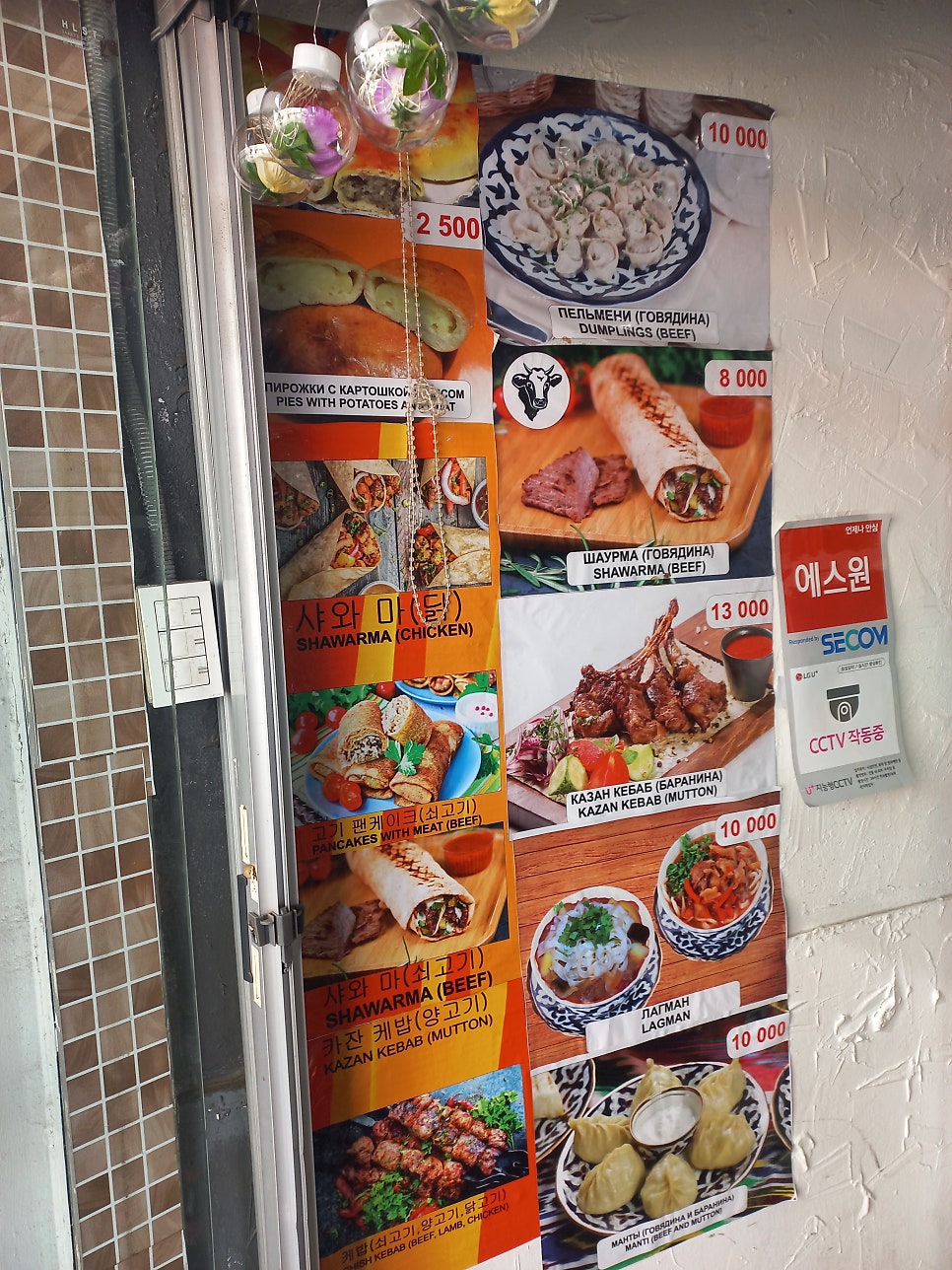시토라 사진 3
