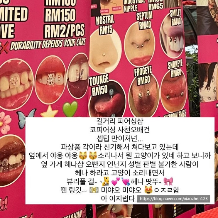  쿠알라룸푸르에서 살아남기! 말레이시아 디지털 노마드 : 5~8주차