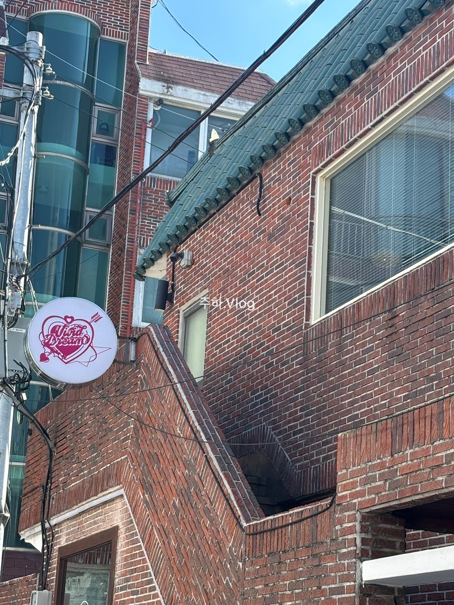 비비드드림 사진 1