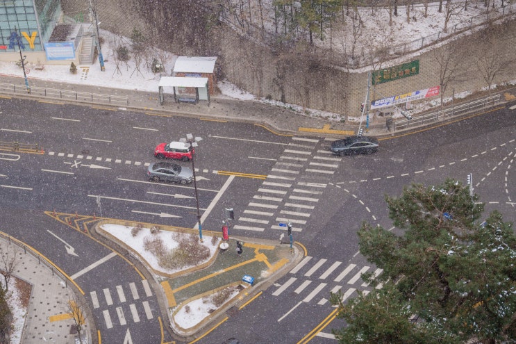  피치의 설 연휴