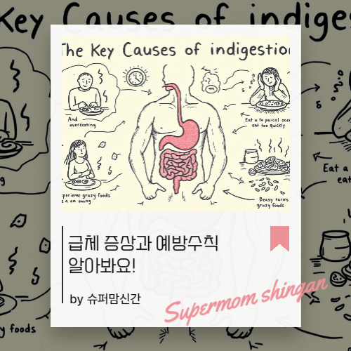 급체 증상 어지러움 토함