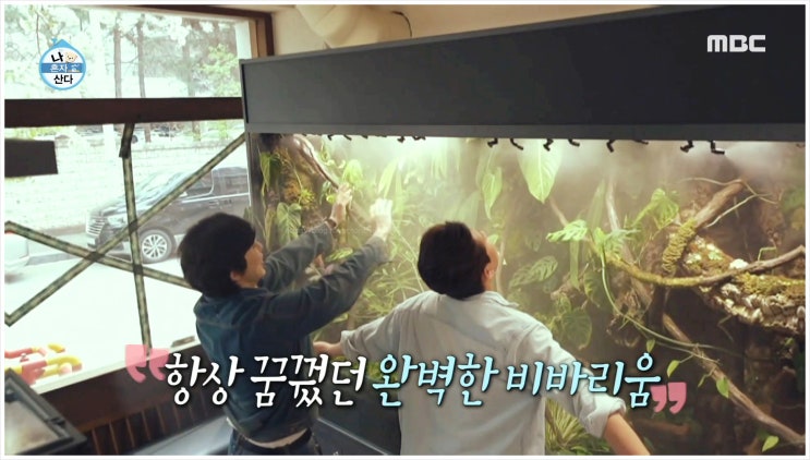  김대호 아나운서 14년만의 프리선언 MBC퇴사 정말일까? 나혼자산다 연봉 출연료 홍제동 개미마을