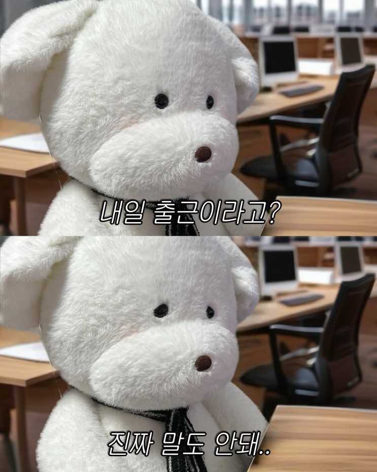  #5 내일의 비를 위해 오늘의 우산을 펴지 말자 ️