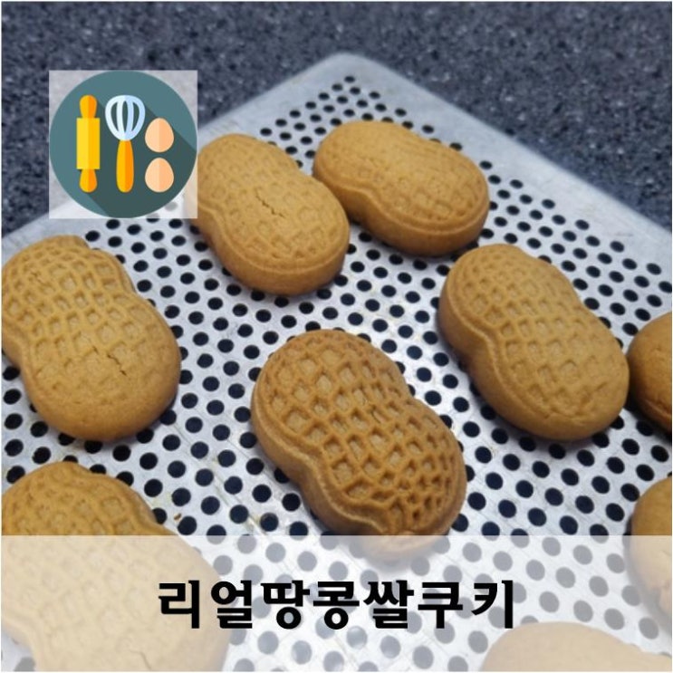  리얼 땅콩쿠키 만들기