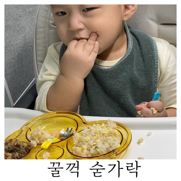  [육아템리뷰]옐레드꿀꺽 생애 첫숟가락질 꿀꺽 숟가락