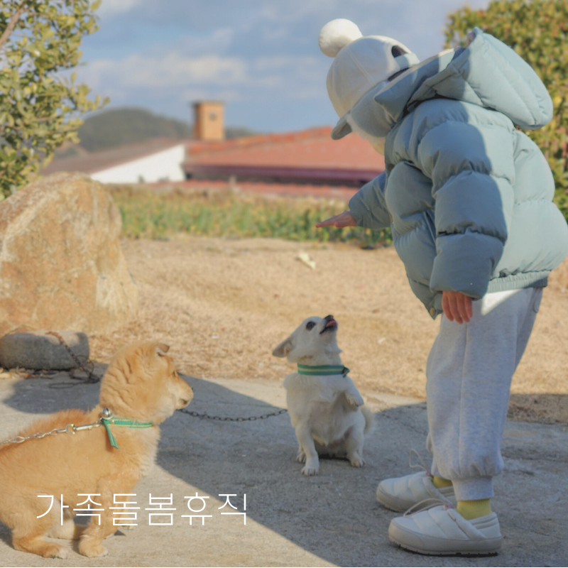 가족돌봄휴직 서류 공무원 급여