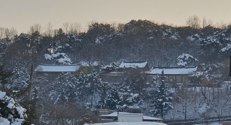  [당일여행] 논산 관촉사(灌燭寺)_은진미륵