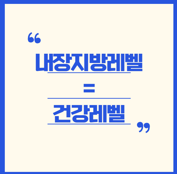  내장지방 레벨, 당신의 건강은 안전할까요?