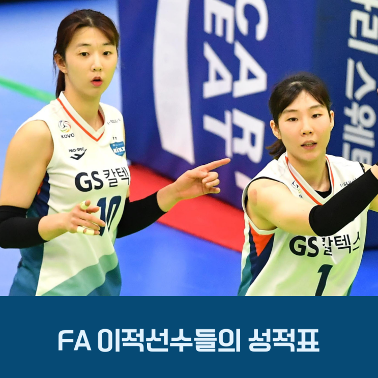 이소영부터 강소휘까지 여자배구 FA 이적생들의 주관적인 평가