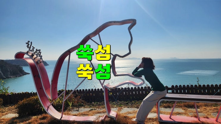 전남 고흥 여행 고양이섬 · 나로도 쑥섬 (여름 수국 겨울 동백꽃 맛집) 핫 포토존 트레킹코스 추천 전남 고흥 여행 고양이섬 · 나로도 쑥섬 (여름 수국 겨울 동백꽃 맛집) 핫 포토존 트레킹코스 추천