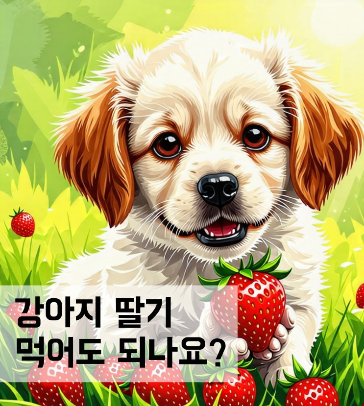  강아지 딸기 먹어도 되나요? 급여 방법과 효능