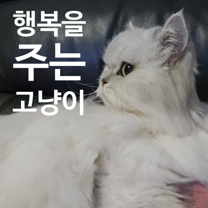  250127_다가오는 시간아 반가워