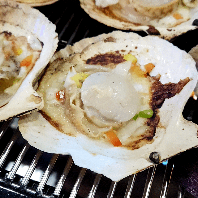  제주공항 근처에서 횟집을 찾을 땐, 노형동맛집 노형수산조새호
