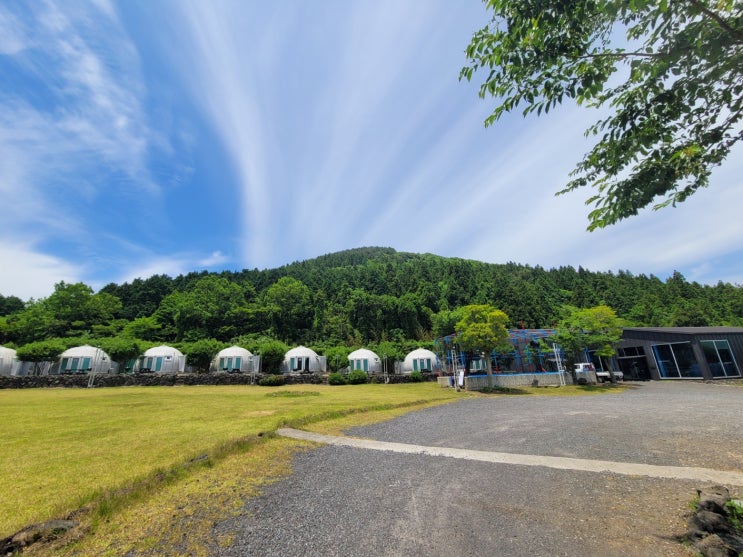  제주오름/제주동쪽오름《제주오름》 바농오름 편백숲길로 유명한 제주도 오름