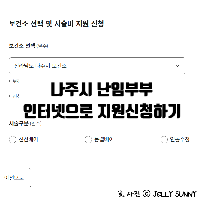 나주 난임시술비지원신청 인터넷으로 신청하기 정부24, 나주보건소