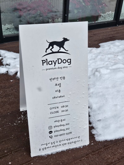 사진 3